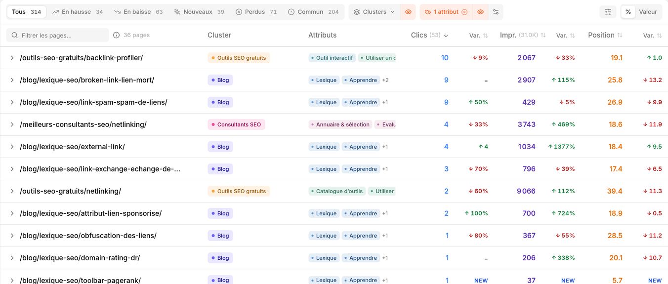 Pages de Cuik filtrées par besoin SEO, avec leurs clusters et plusieurs attributs